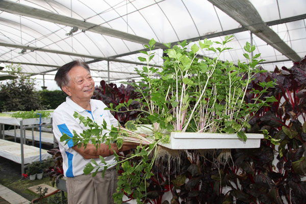 享受國(guó)務(wù)院特殊津貼專家、通威股份高級(jí)技術(shù)顧問吳宗文