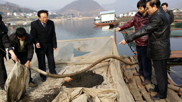 農(nóng)業(yè)部漁業(yè)局副局長李書明在廣元白龍湖調(diào)研網(wǎng)箱魚體排泄物回收技術(shù)。